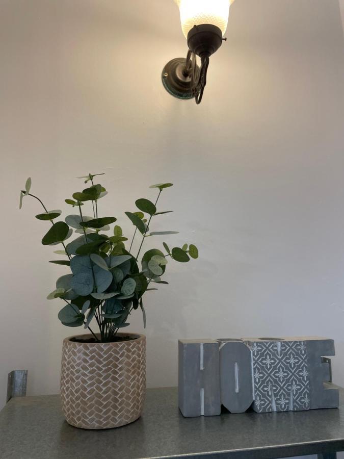 קאמברידג' Cozy 3 Bedrooms Home Off Mill Road Sleep מראה חיצוני תמונה